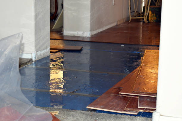 Professional Basement Flooding technician working in Neshanic Station, NJ